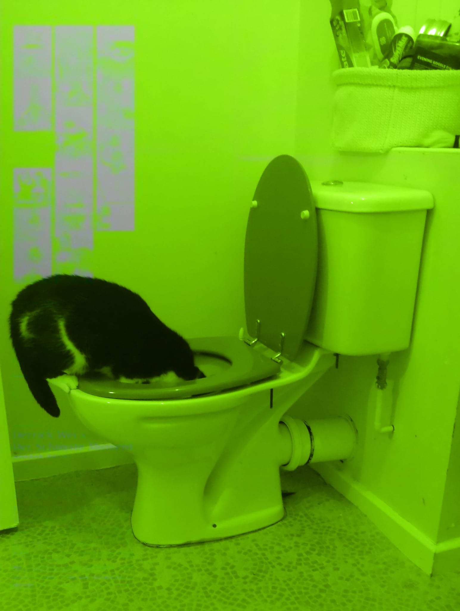 Abandon Hope All Ye Who Enter Here